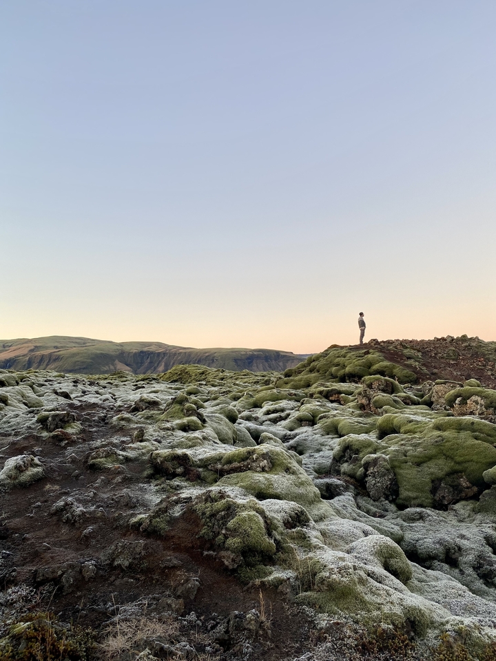 Personne debout sur un paysage couvert de mousse.