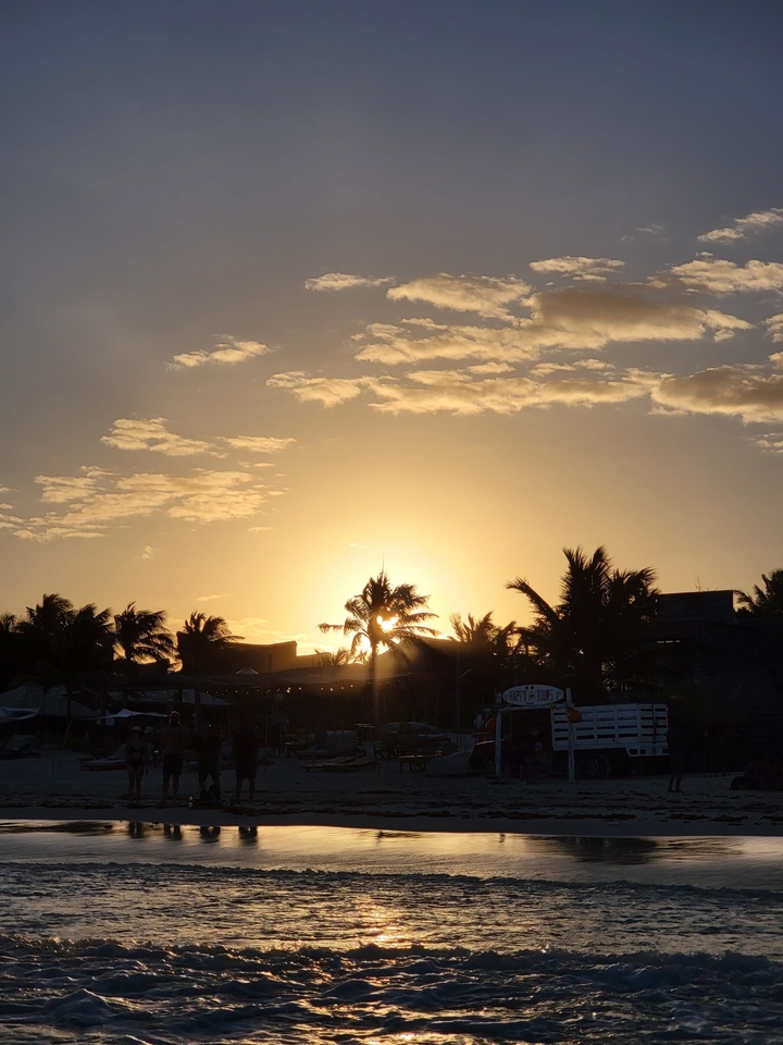 Sunset with palm trees silhouetted against the sky.