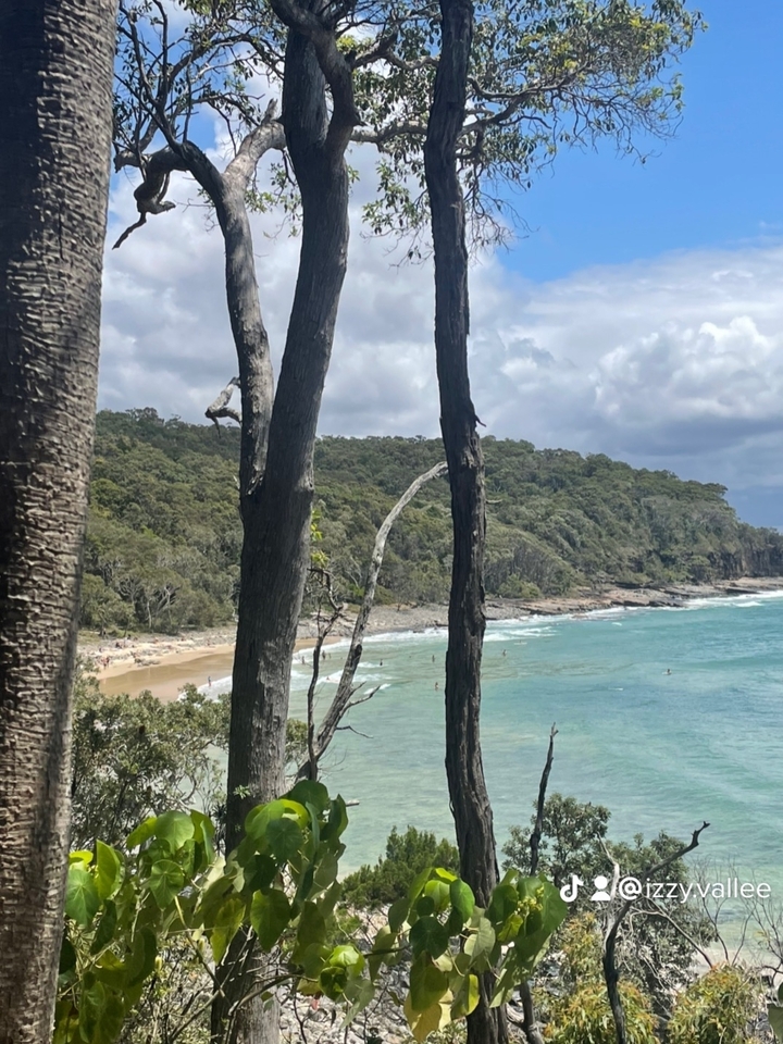 Secluded beach view through trees with turquoise waters.