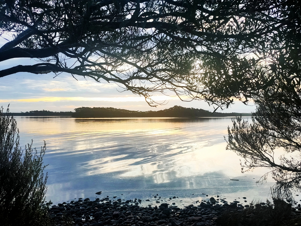 Quiet lake at sunset framed by tree branches.