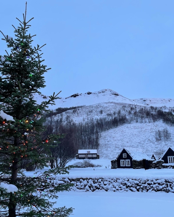 Snowy landscape with decorated tree and house