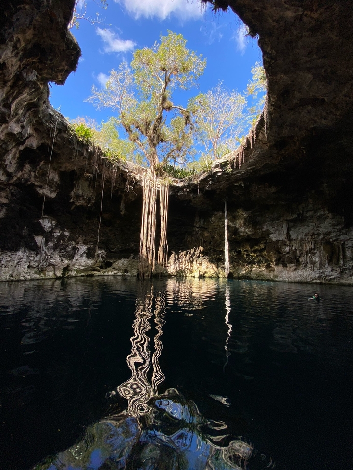 A cenote with hanging vines and crystal clear water.