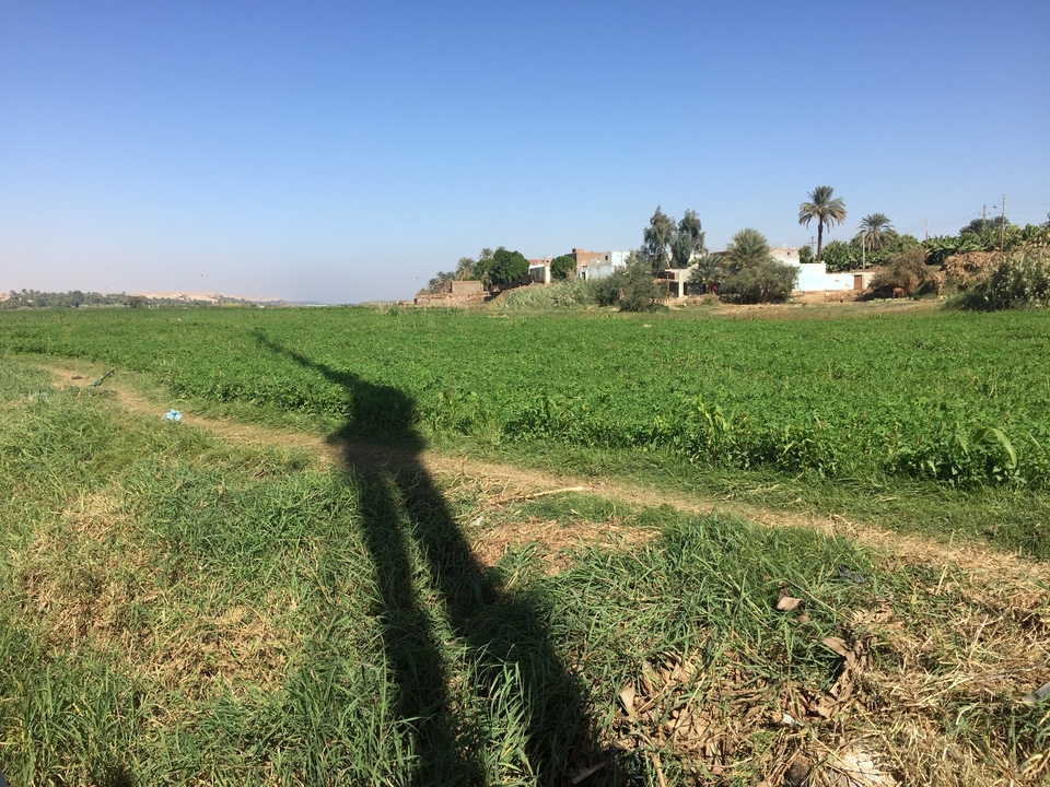 Green field with distant village and mountains.