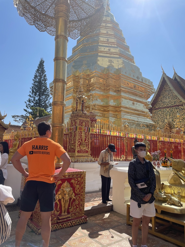 A person observing a golden temple with intricate details.