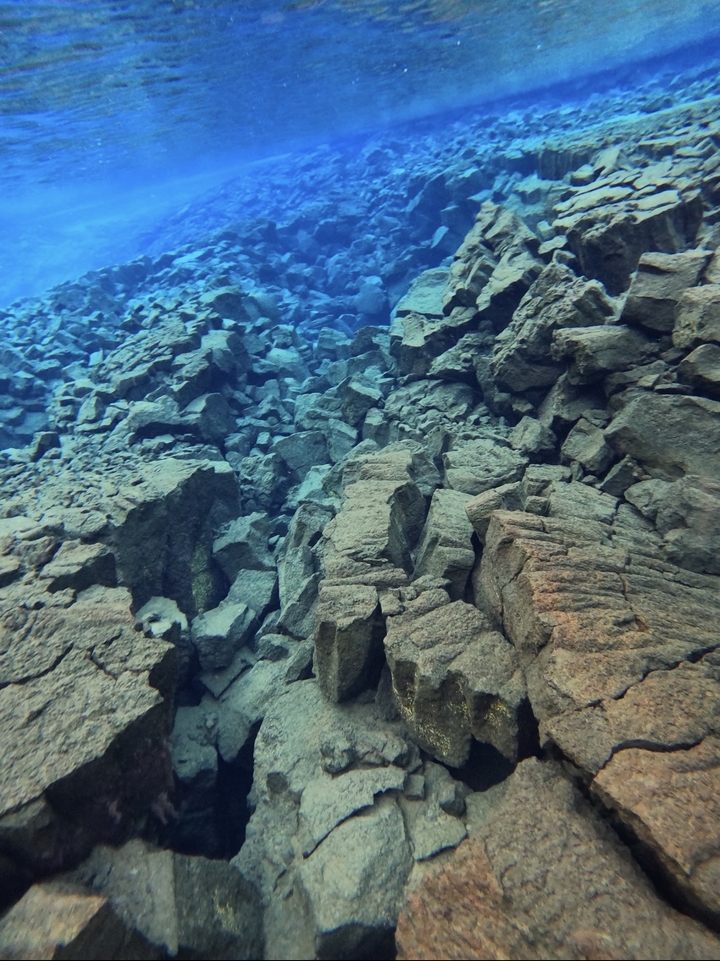 Underwater rocky terrain.