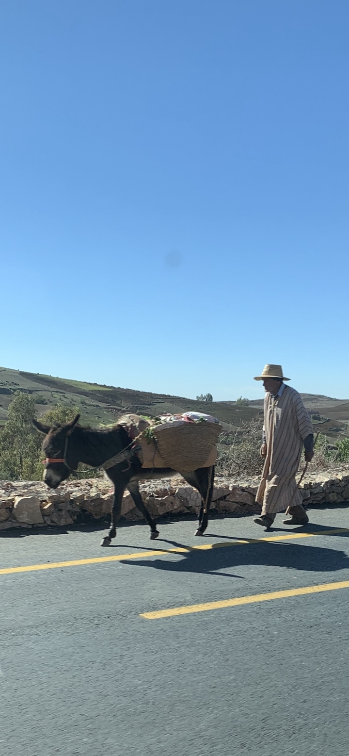 Een persoon die een ezel leidt op een landelijk pad.