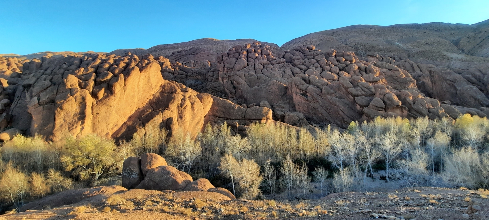 Rock formations with trees in a desert landscape.