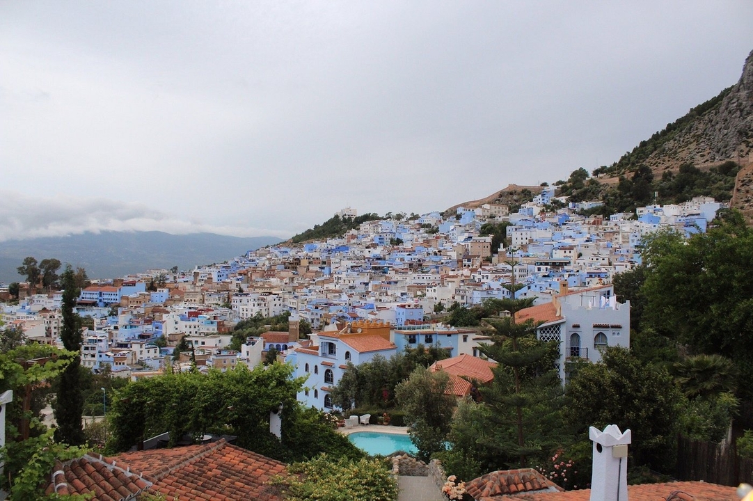 Uitzicht op een heuvelstad met blauwe gebouwen en groen.