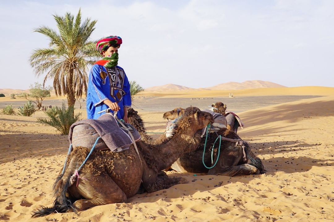 Persoon met kamelen in een woestijnlandschap.