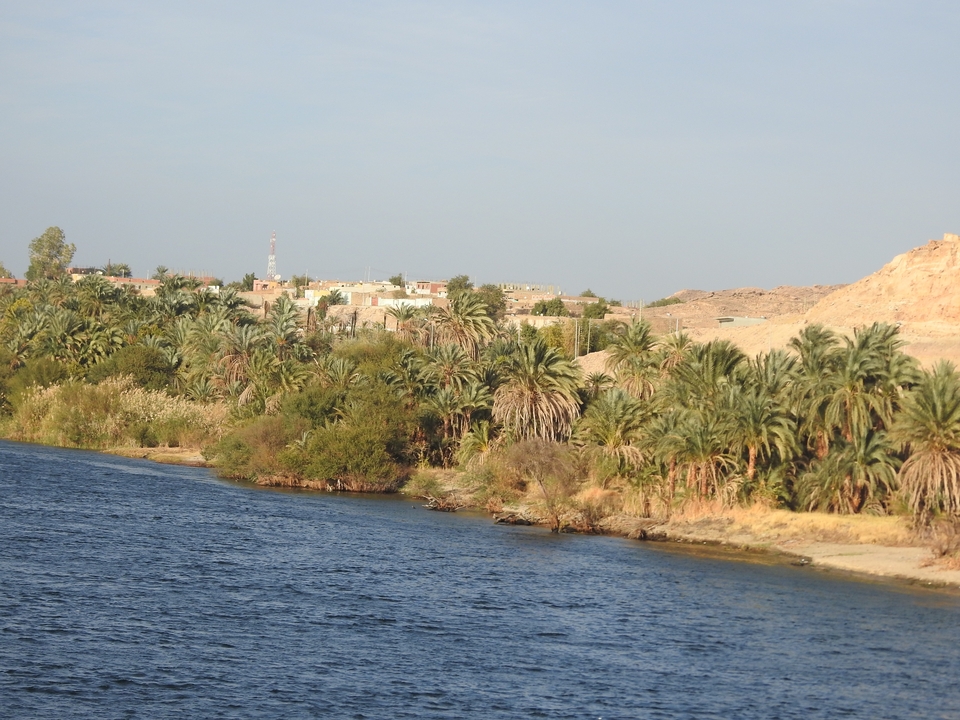 Lush greenery along a large river, possibly the Nile.