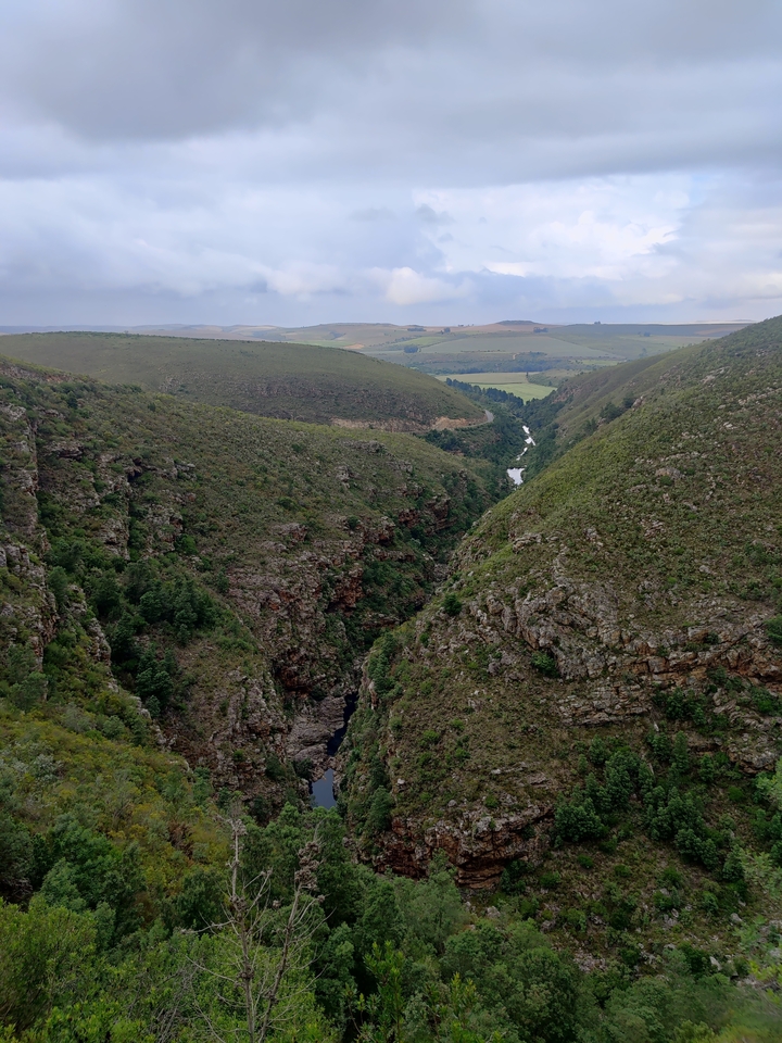 Canyon surrounded by lush green hills.