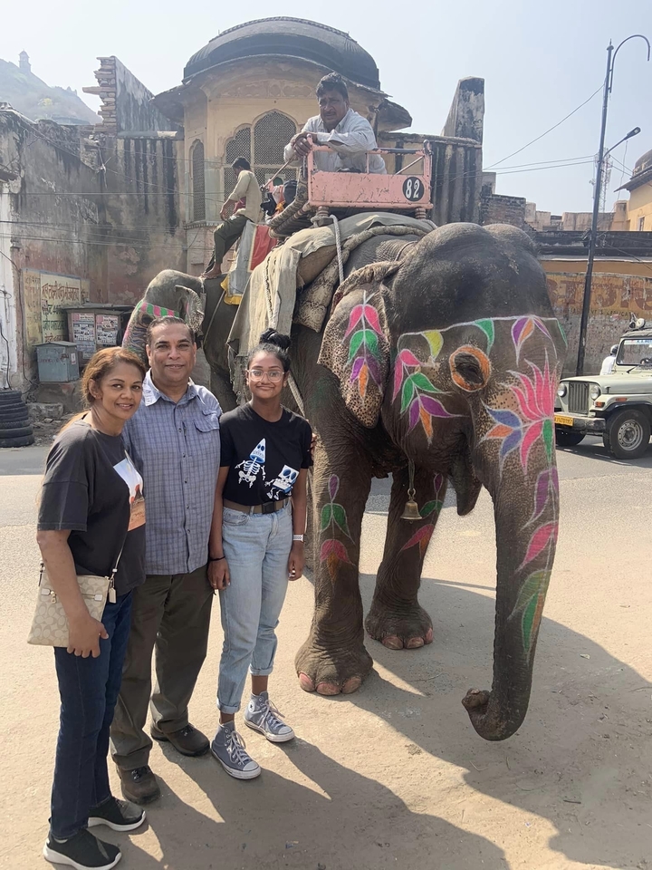 Family posing with a decorated elephant on a city street
