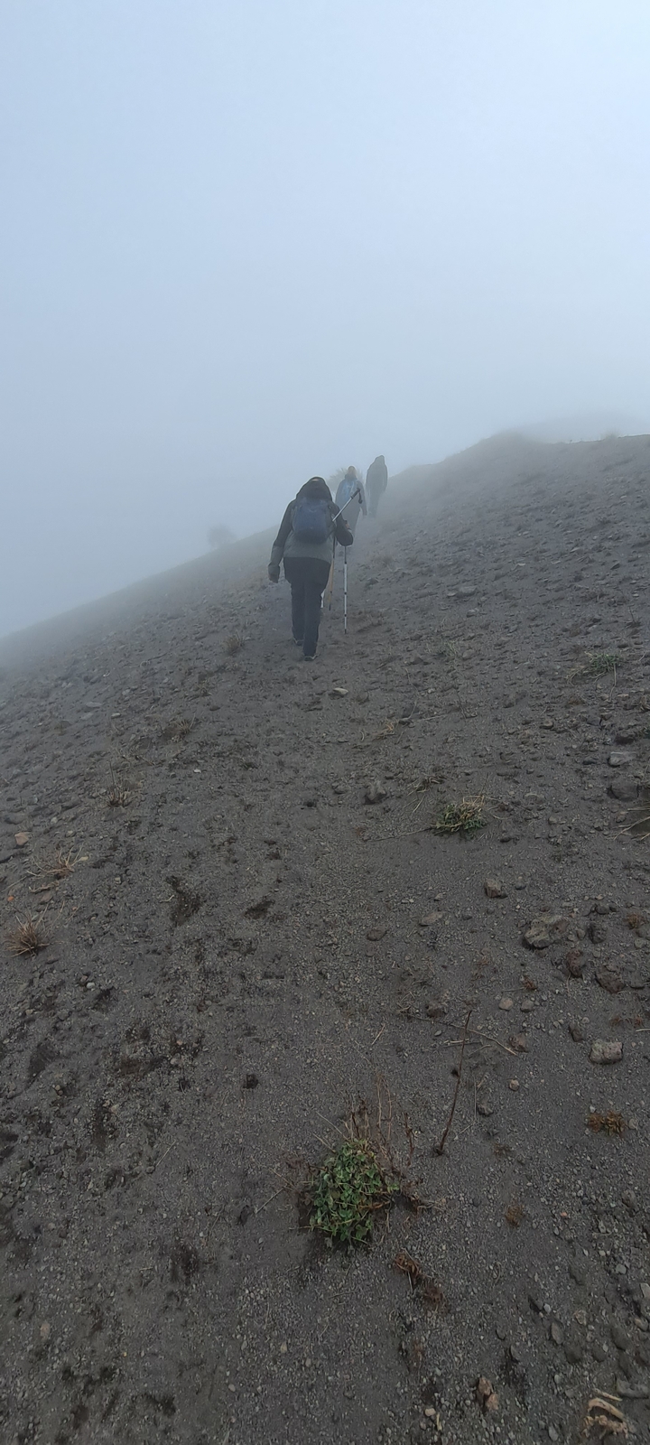 Personne faisant de la randonnée sur un terrain escarpé et brumeux