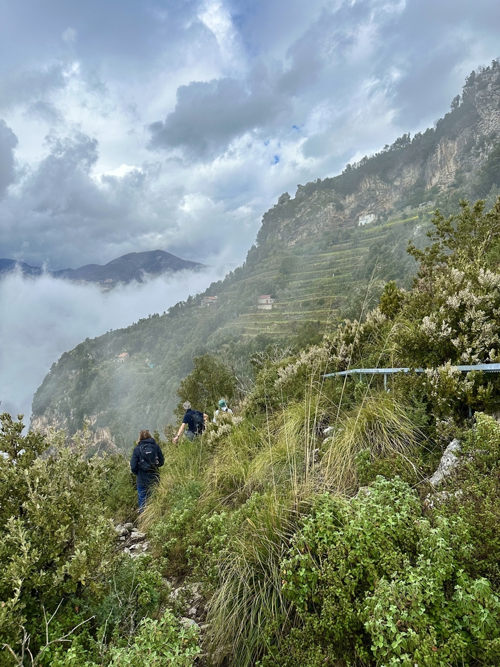 Hiking trail along a cloudy hillside with lush greenery.