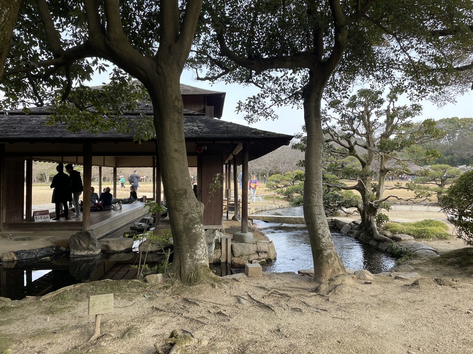 Japanese garden with people and a pond.