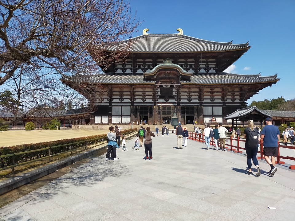 Visitors outside a large traditional Japanese temple.