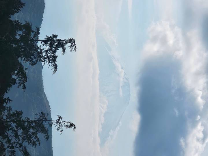 Mount Fuji in the distance behind clouds and foreground trees.
