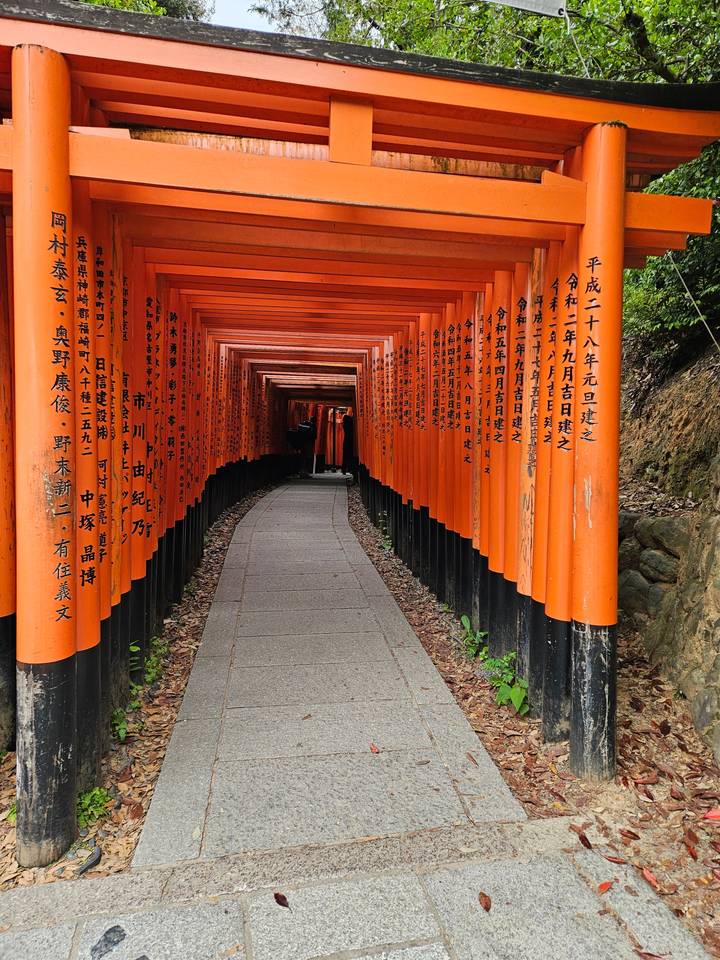 Fushimi Inari Shrine pathway with numerous red torii gates.