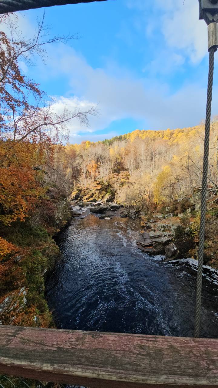 Cable bridge over a river surrounded by autumn trees.