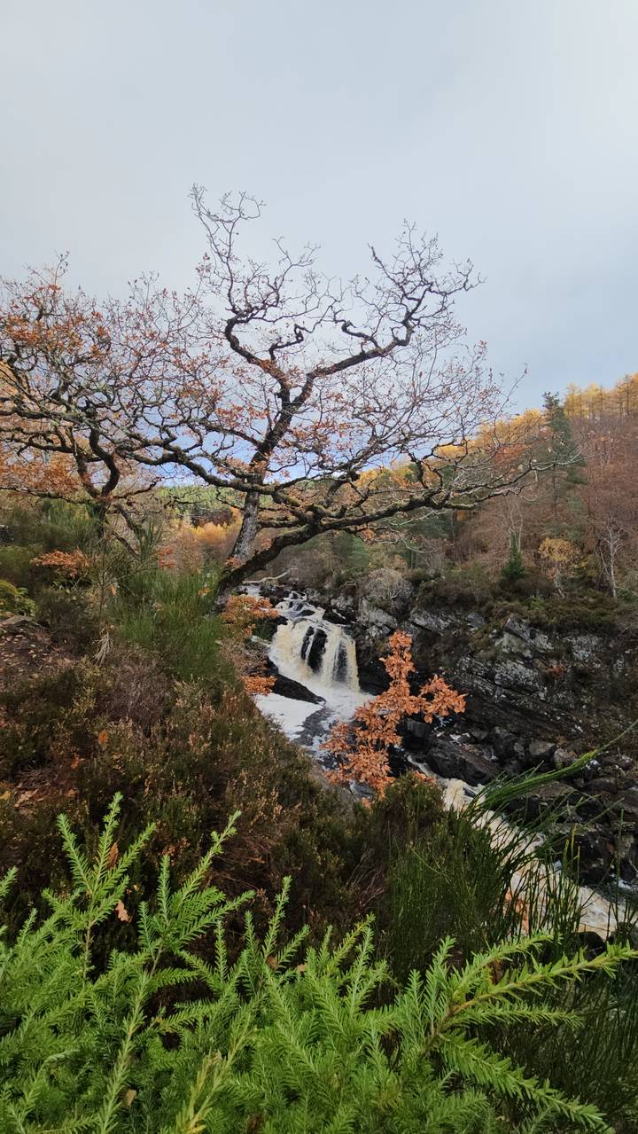 Waterfall in a forested area with autumn foliage.
