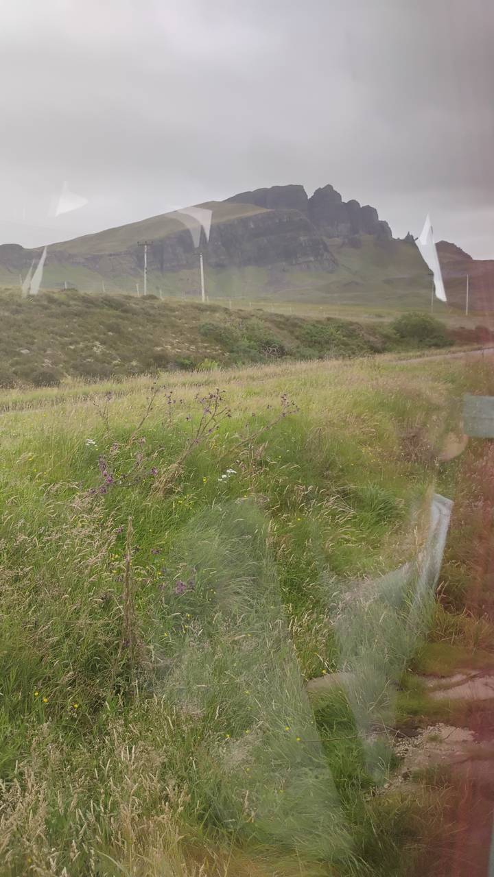 Reflection on a window showing a grassy landscape.