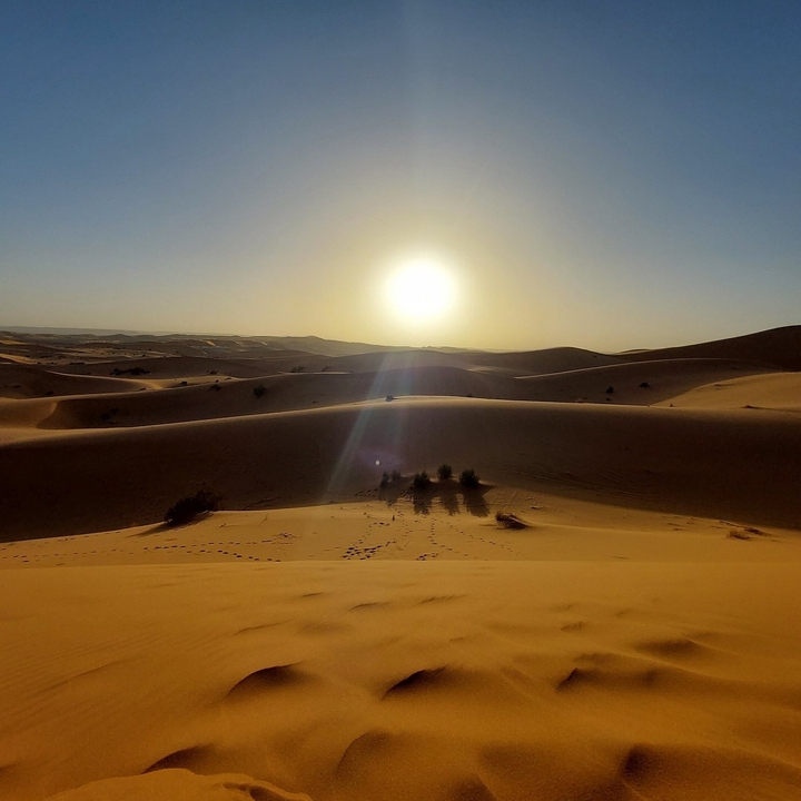 Desert landscape with sand dunes at sunset.