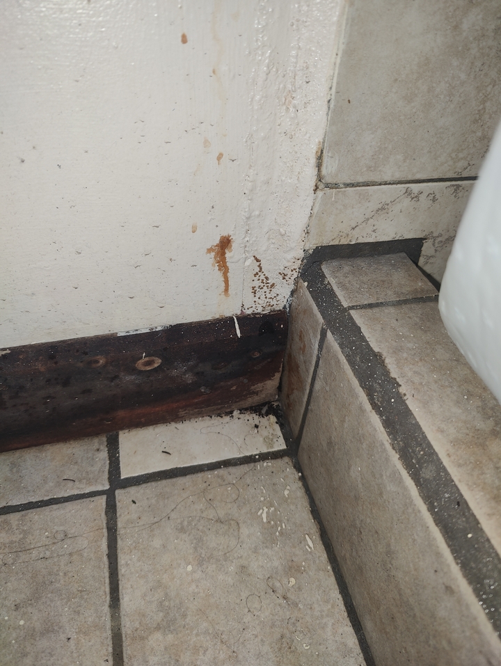 Close-up of damp and stained corner of a wall.