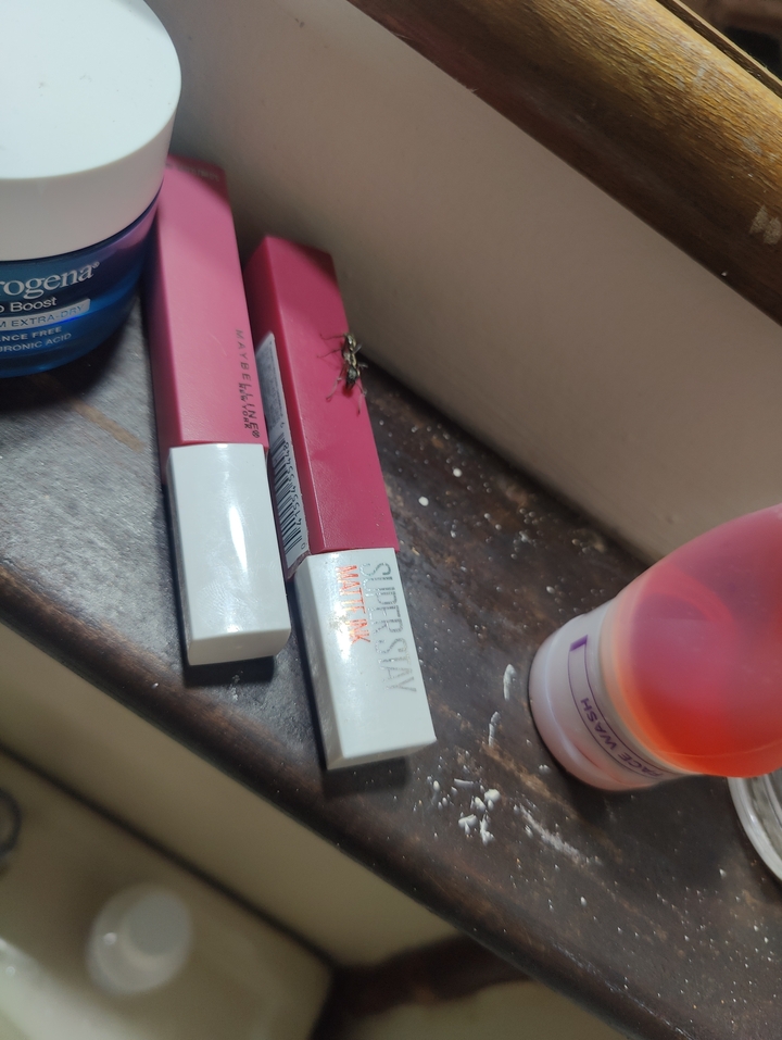 Close-up of cosmetics on a windowsill with an insect.