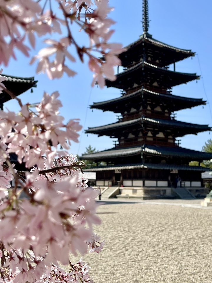 Pagode floue avec des fleurs de cerisier au premier plan.