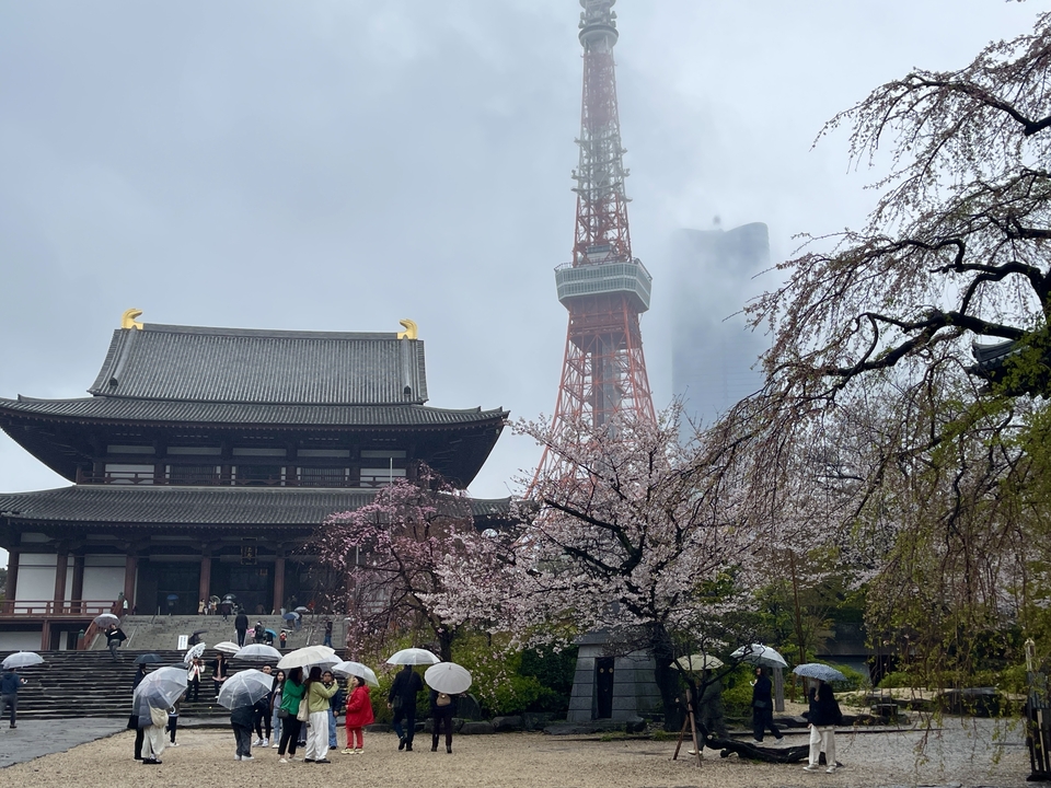Temple et tour dans un cadre brumeux avec des fleurs de cerisier.