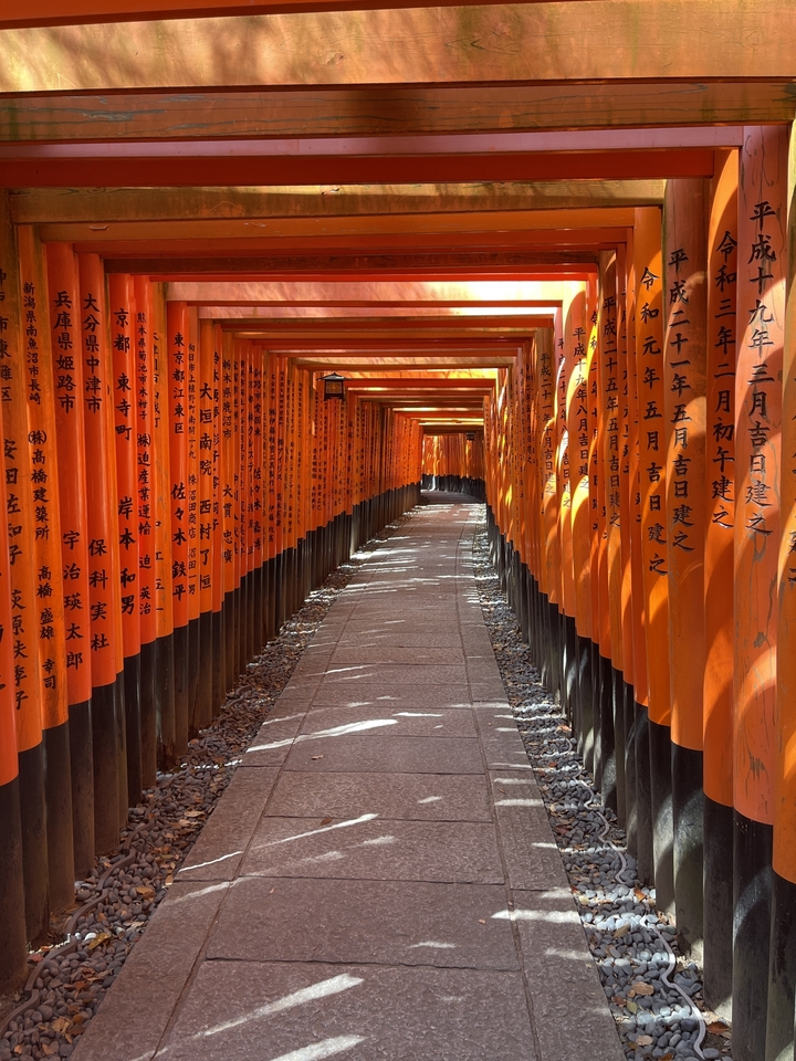 Alignement de torii rouges créant un effet de tunnel.