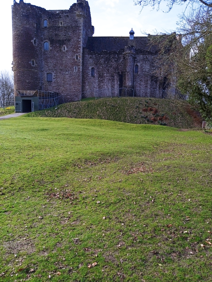 Green grass with an old stone structure in the background.