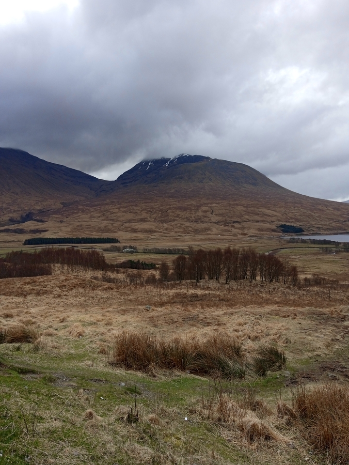 Mountain landscape with sparse trees.