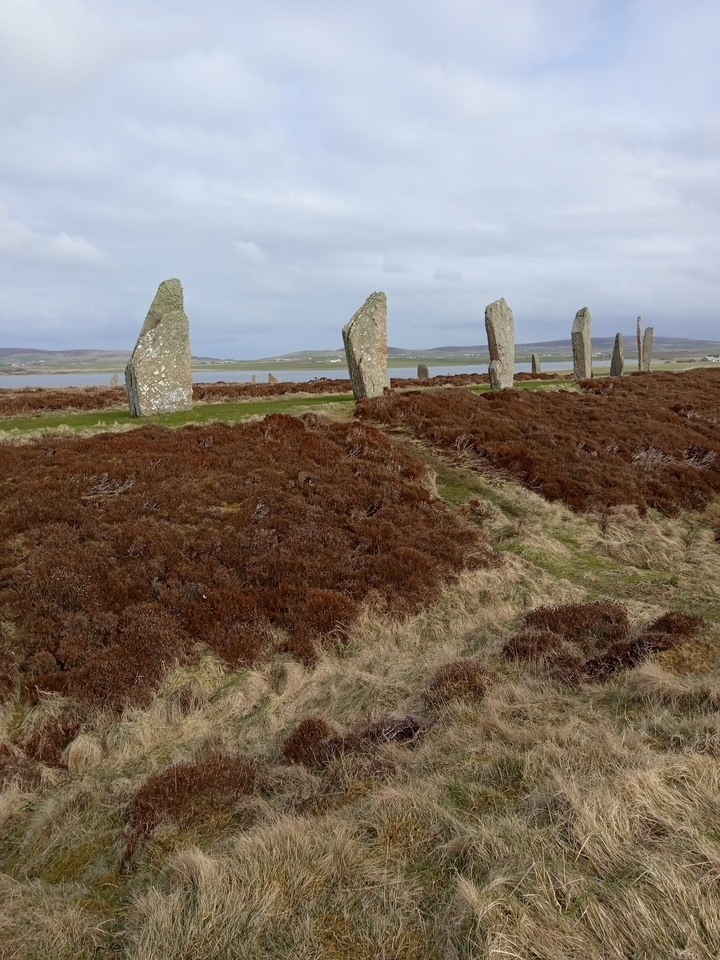 Standing stones in a grassy field.