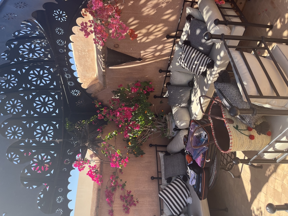 Outdoor seating area with cushions and flowers.