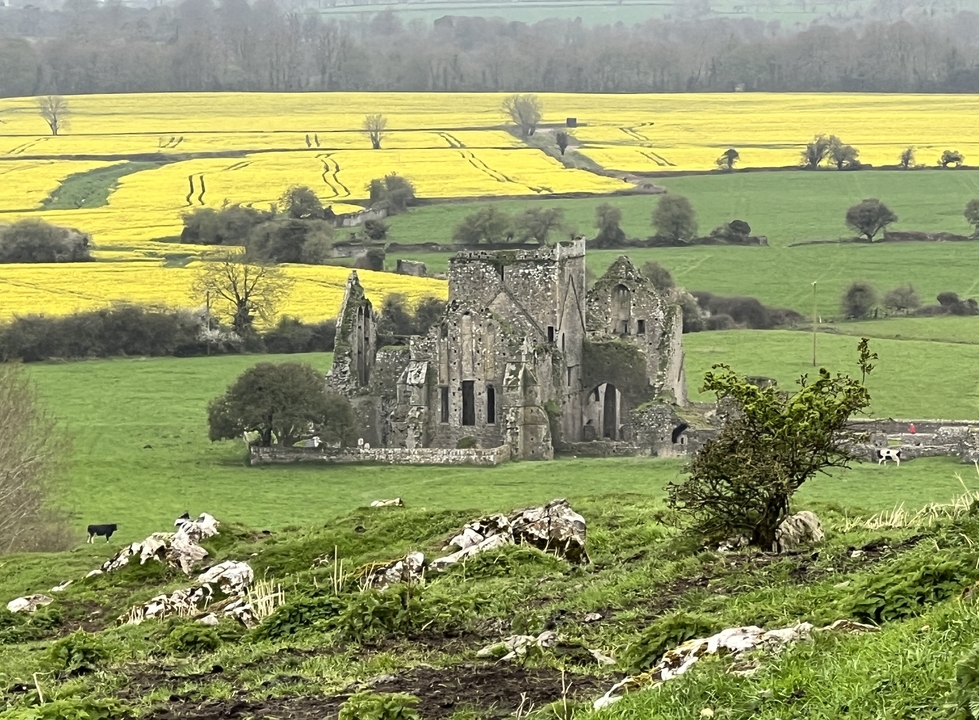 Ruin of a castle in a lush green field.