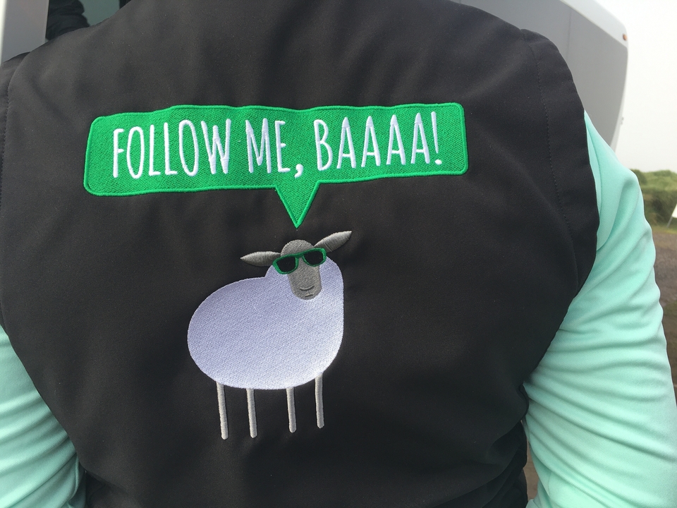 Tissu avec un motif de mouton disant « Suis-moi, BÊÊÊÊ ! »