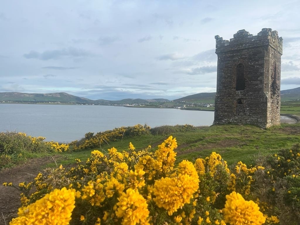 Tour en ruines avec des fleurs jaunes près d'un lac.