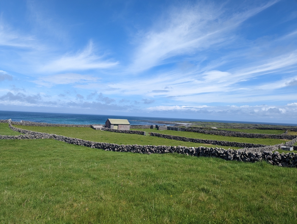 Green fields with stone walls and ocean in view.