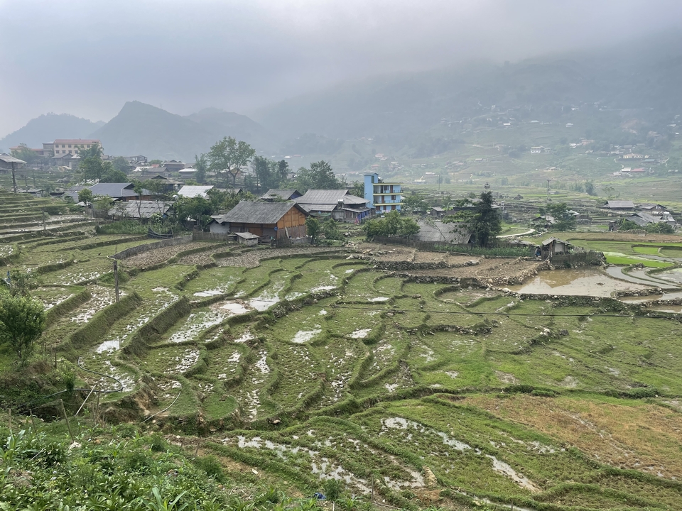 Terraced rice fields amidst a misty mountainous backdrop.