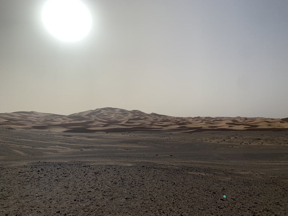 Sandy desert landscape with distant dunes under a bright sun.