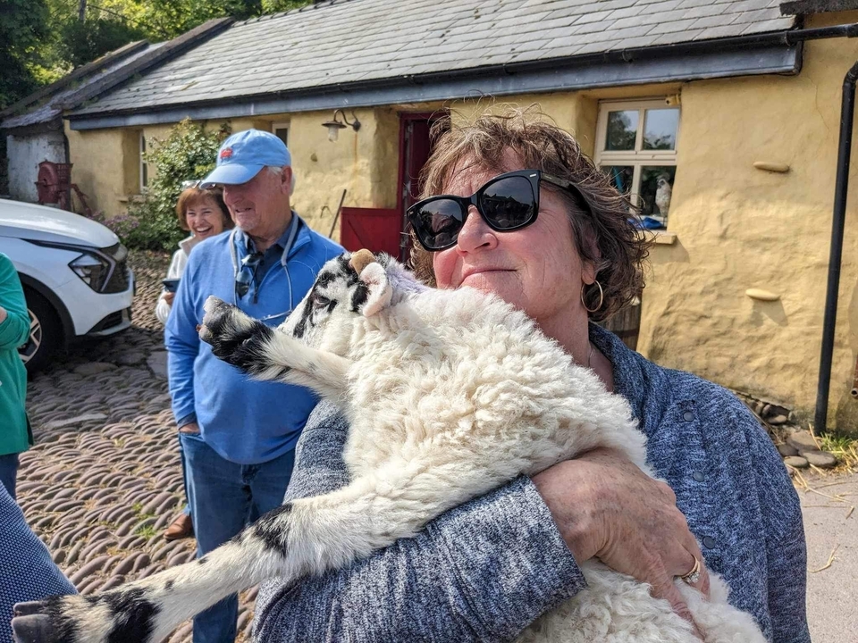 A person holding a lamb with others standing nearby.