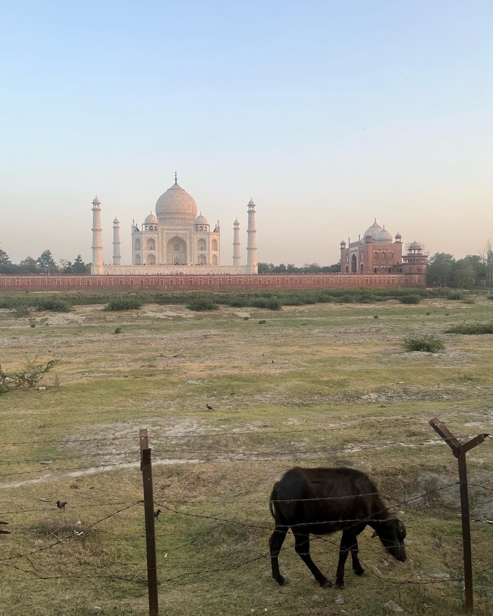 View of the Taj Mahal with surrounding complex at sunrise.