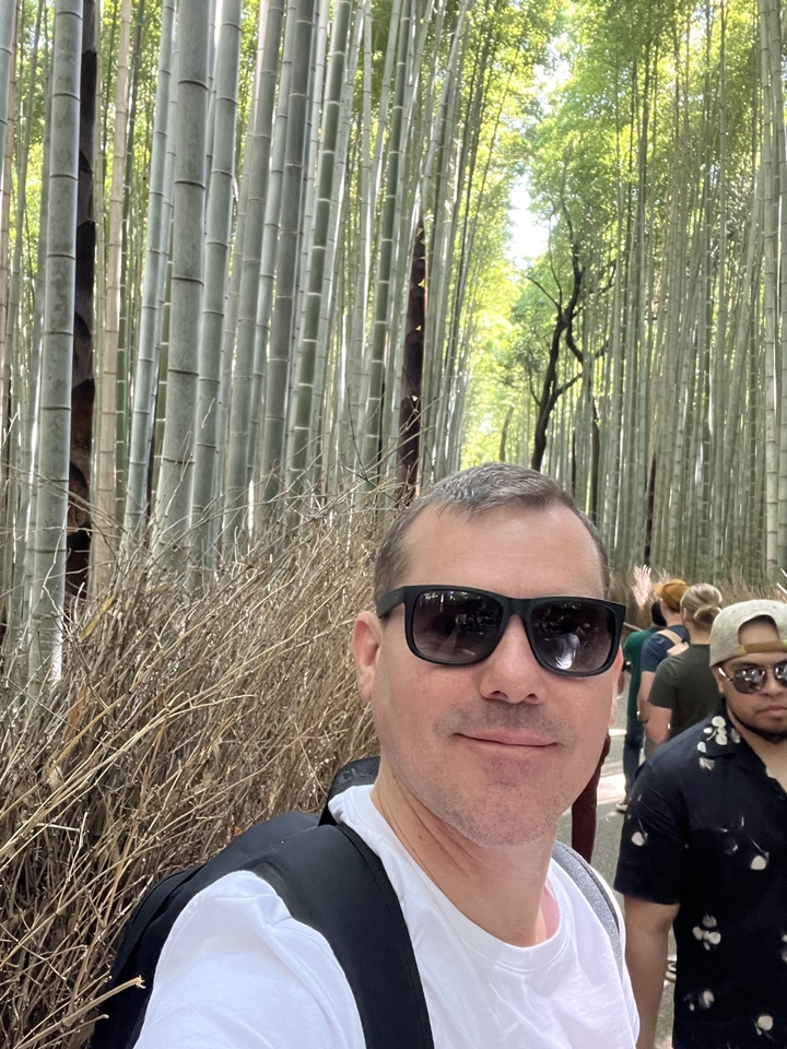 Gros plan d'une personne dans une bambouseraie.