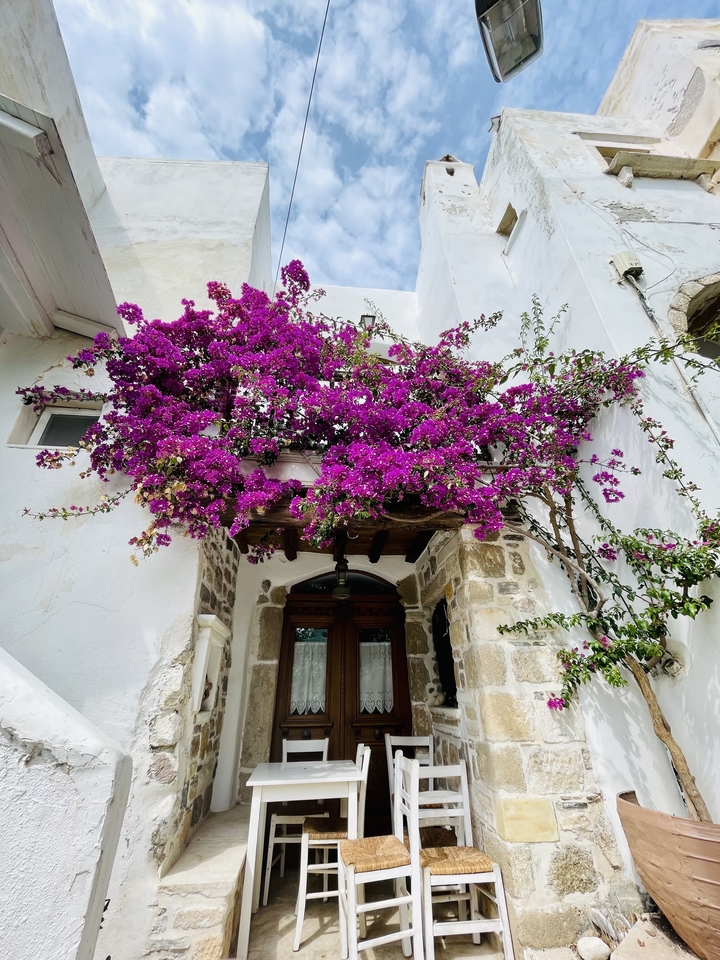 Vibrant bougainvillea over a doorway in a stone building.