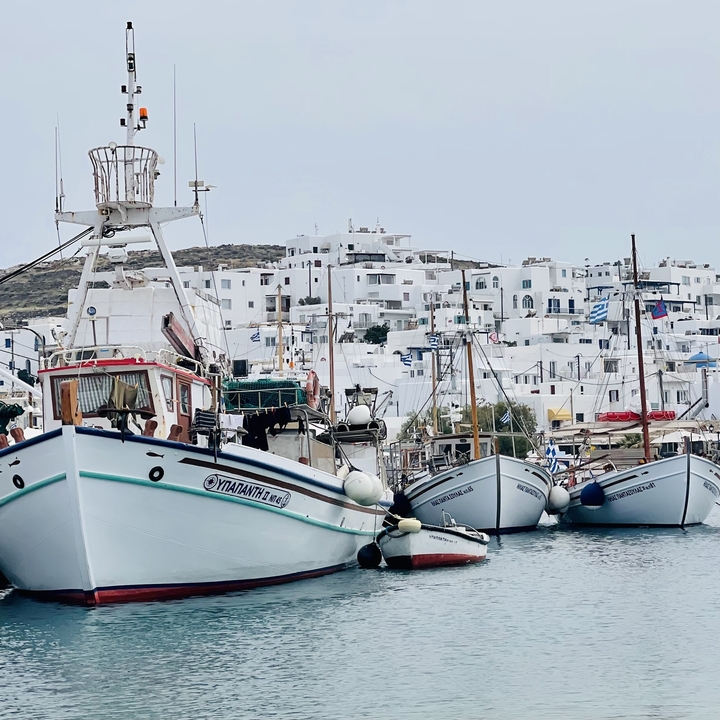 Boats docked in a harbor with white buildings in the background.