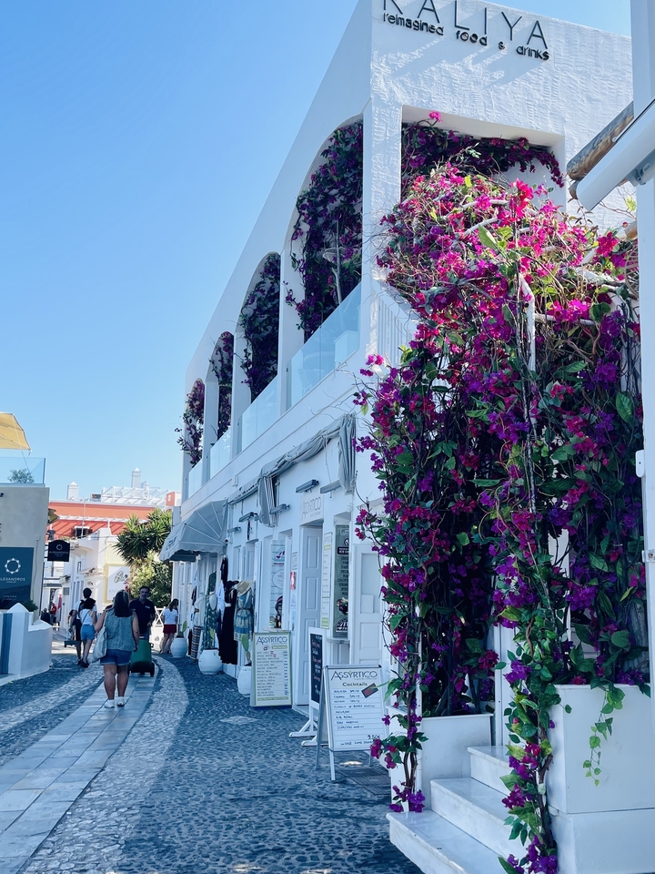 Street scene with white buildings and vibrant purple flowers.