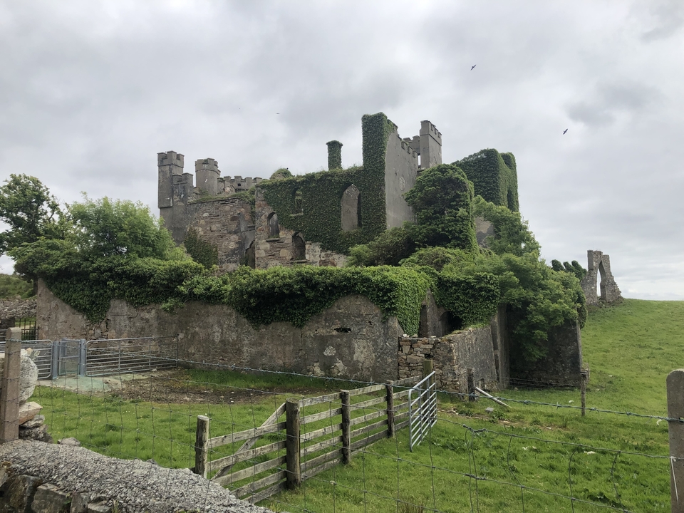 Ruins of an ivy-covered medieval castle