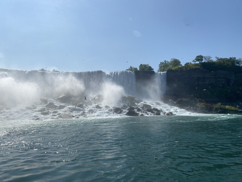 Niagara Falls with mist and birds flying in the scene.