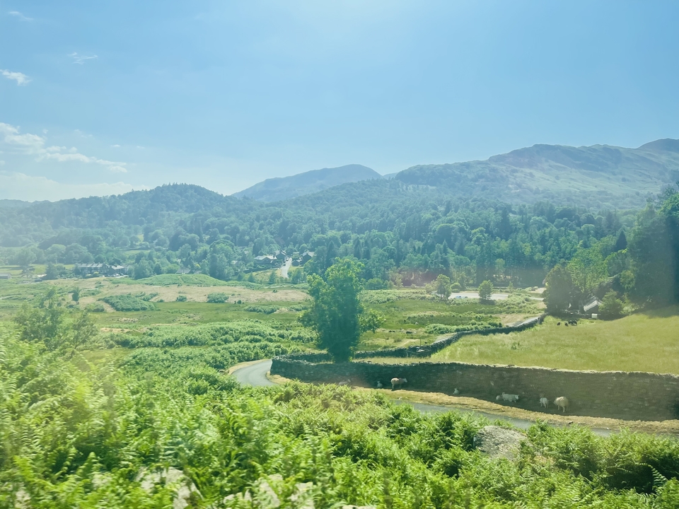 Vue panoramique d'une vallée verdoyante avec des montagnes.